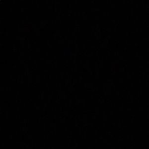 Meet your Posher, Breanna